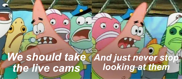 SpongeBob meme: Patrick saying put it somewhere else